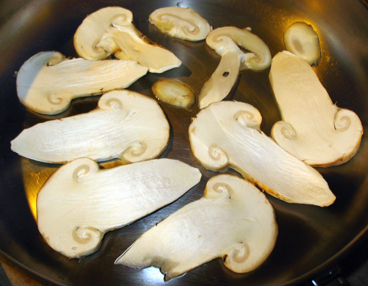 (White) Matsutake (Tricholoma magnivelare)